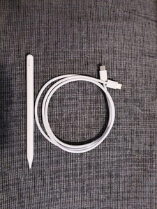 Apple Pencil (USB-C) - White - Afbeelding 1 van 2