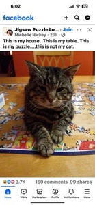 McCall's Costume Wizard Witch Women Men Cloak SZ XS-XL uncut P410 - Picture 1 of 2