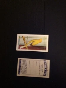 K2-8 Trade Card Priory Tea I Spy Pets Canary No 19 - Picture 1 of 1