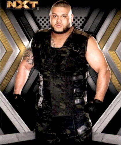 A4609- 2017 Topps WWE NXT Wrestling Card #s 1-50 -You Pick- 15+ FREE US SHIP - Image 1 of 1