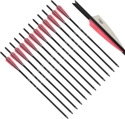 20 22 Inch Carbon Crossbow Bolt, 12 Pcs Hunting 22INCH, White&Pink  - Image 1 of 4