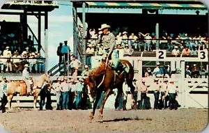 Postal Rodeo Vaquero Montar Bucking Broncho Cromo Matasellado 1960 - Imagen 1 de 2