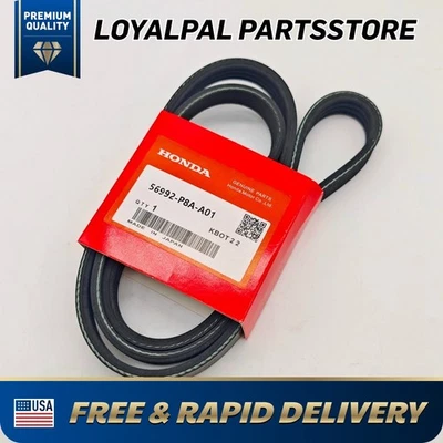 Cinturón de bomba de dirección asistida OEM 56992P8AA01 56992P8A305 para Honda Accord Acura EE. UU. Foto 1 de 4