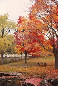 ORIGINAL KODACHROME COLOR SLIDE - BEAUTIFUL AUTUMN COLORS, PA - 1978 - Picture 1 of 1