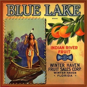 Winter Haven Florida Blue Lake Orange Fruit Crate Vintage Label Art Print 8x8 - Picture 1 of 1