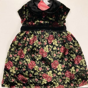 Gymboree Traditions Floral Velveteen Dress 3T - Picture 1 of 2