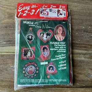 Stacy Fabrics Erica Wilson Set of 6 Fusible Felt Holiday Picture Ornaments NEW - Picture 1 of 5