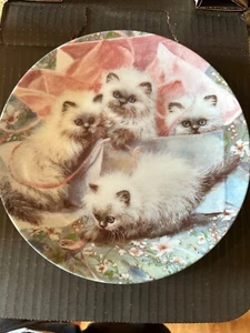 Knowles All Wrapped up Himalayans Kitten 1988 Collector Plate by Amy Brackenbury - Picture 1 of 2