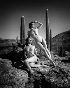 Fine Art Nude Photography 5x7, 8x10, or 11x14 - Female Woman Model Photo Print - Picture 1 of 2