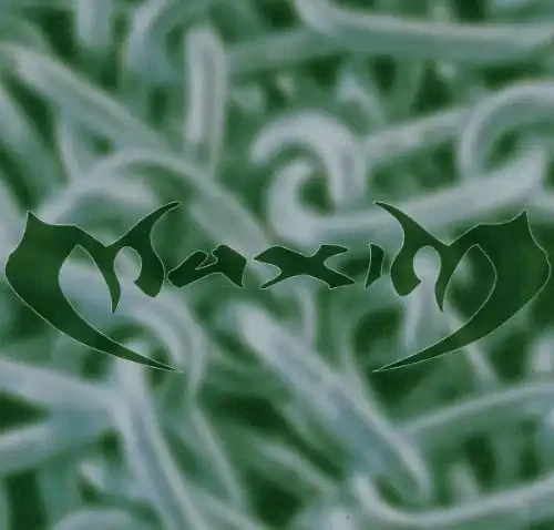 Maxim Feat.Skin - Carmen Queasy - Bild 1 von 1