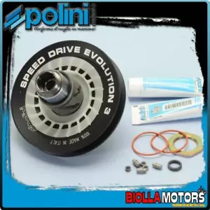 244.0573 KIT CORRETTORI DI COPPIA POLINI D.134 PIAGGIO NRG, NTT, MC2 ALLUMINIO - Foto 1 di 5