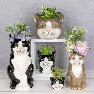 Shudehill Giftware Moggy Pots Vase Black & White or Ginger Cute Cat Plant Pot - Bild 1 von 13