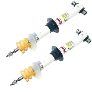 General Motors GM 84721623 Front Shock Absorber Strut Rancho 85559768, 2 Pcs - Picture 1 of 13