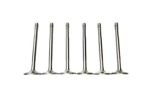 For 1942-1959 Dodge 218 & 230 6-Cyl Engine Intake Valve Set 868886 1109911 - Picture 1 of 5