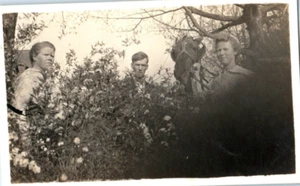 Vintage Photo 1940s, 3 Young People Posed W/ Horse & Bush, 4.5x2.25 Black White - Picture 1 of 2