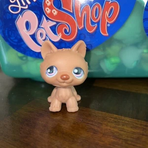 Littlest Pet Shop authentisch #39 brauner Husky Hund Welpe rosa lila Punkte Augen LPS - Bild 1 von 5