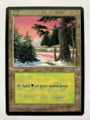 FOREST (VERSION A) Ice Age 1995 Magic The Gathering MTG Land Heavily Played - Image 1 of 2