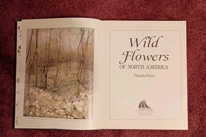 Hardcover WILD FLOWERS OF NORTH AMERICA By Pamela Forey Gallery Books 1991 - Picture 1 of 11