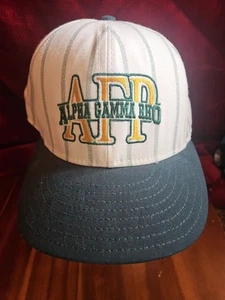 Cappello Alpha Gamma Rho Fraternity verde spilla righe snapback vintage berretto college USA - Foto 1 di 6