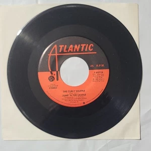 Jump In The Saddle ~ The Curly Shuffle/ Jump For Joy ~ Atlantic 45 RPM Record - Foto 1 di 4