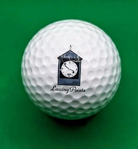 Lassing Pointe Golf Course logo golf ball (Union, Kentucky) - Picture 1 of 1