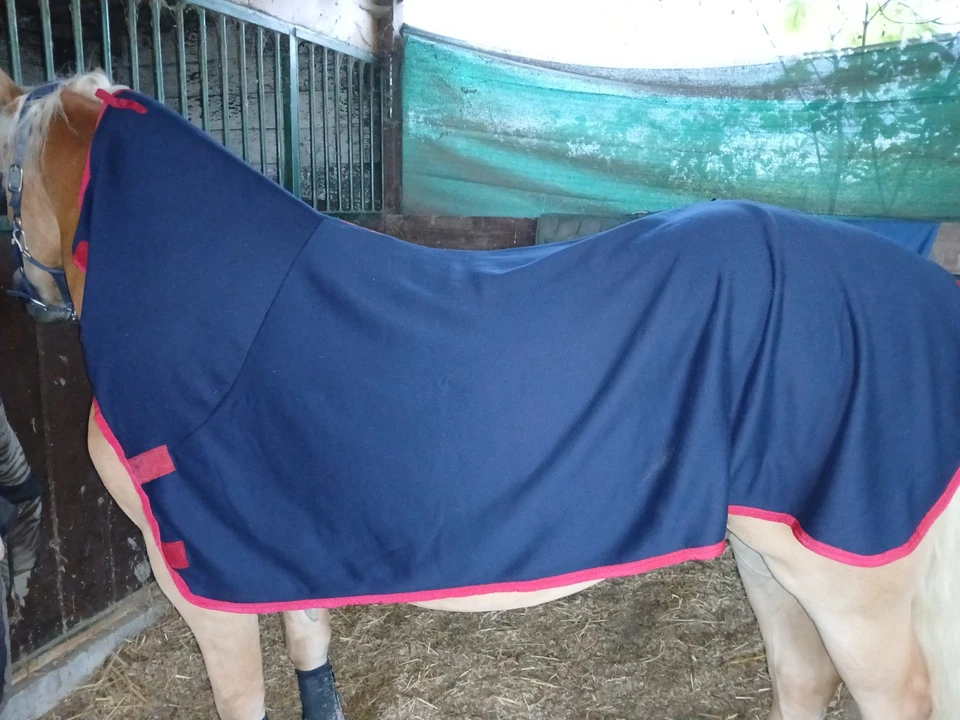 Abschwitzdecke 145cm mit Halsteil, Bitte Beschreibung Lesen!!! - Bild 1 von 1