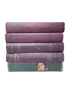 Elsie Dinsmore Book Lot of (5) Books Martha Finley Antique - Bild 1 von 6