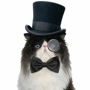 Corbata de moño para gatos - Imagen 1 de 3