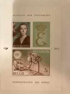 Bloque de Bélgica (edición completa) Estampilla de la reina Isabel 1966 montada administración - Imagen 1 de 3