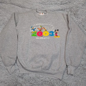 Sudadera De Colección Walt Disney World Niñas XL Gris Cómoda Informal Acogedora 2003 - Imagen 1 de 9