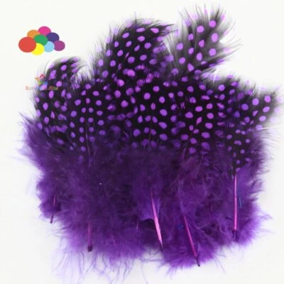 15 Colour Natural Guinea Fowl Feathers Crafts 4-8cm Chicken Pheasant Beautiful - Image 1 of 4