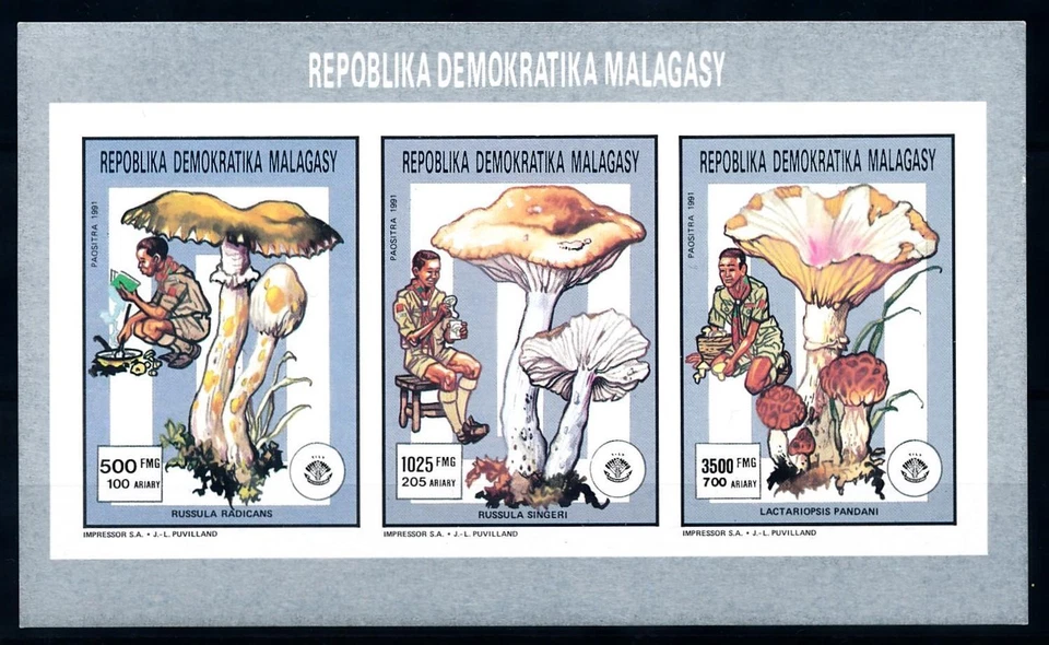 [95943] Madagascar Malagasy 1991 Mushrooms Scouting Imperf. Miniature Sheet MNH - Image 1 of 1