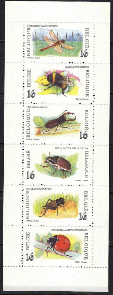 Belgium 1996 Booklet (PZB 27) Mint never Hinged - Image 1 of 1