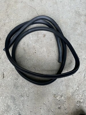 Saturn Ion 2003-2007 2,2 L OEM lado del pasajero delantero sello de tira climática Foto 1 de 4