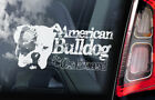Amerikanischer Bulldogge Auto Aufkleber, Bully Hund Pet Fenster Schild Stoßfeste