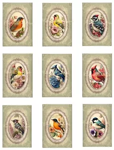 Colorful Birds & Flowers A MULTI-SIZE SET Cotton Fabric Quilt Blocks - Picture 1 of 5