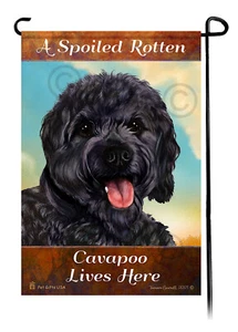 A Spoiled Rotten Black Cavapoo Lives Here - Picture 1 of 1