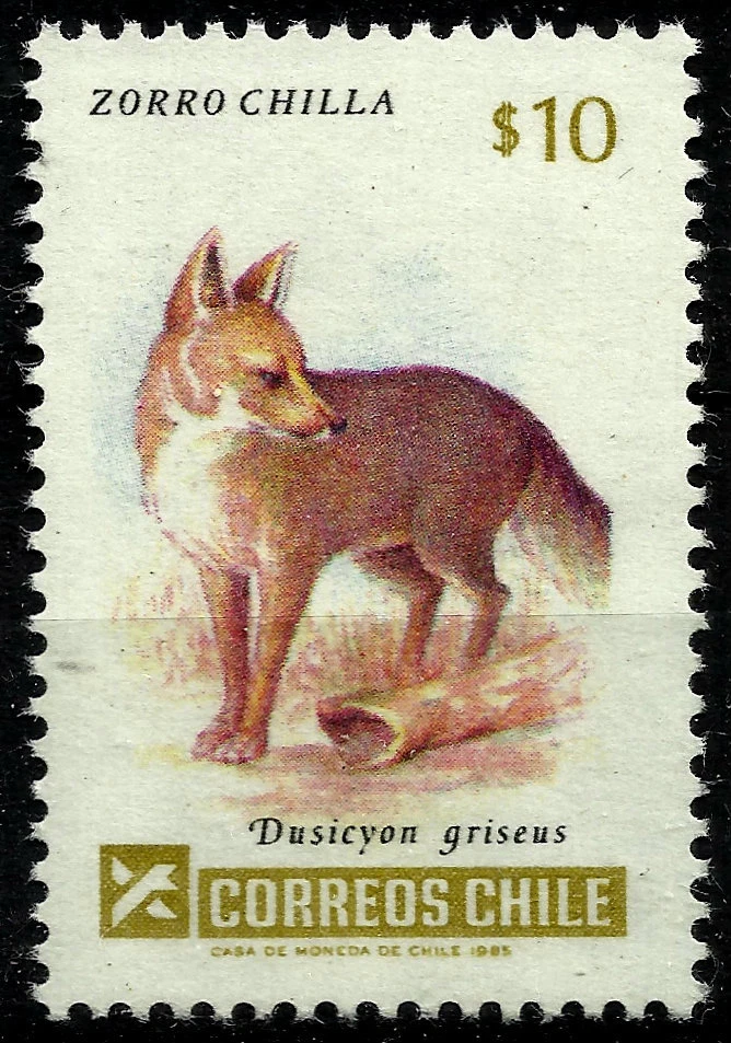 FAUNA, ZORRO CHILLA (ZORRO CHILLA), DUSICYON GRISEUS, AÑO 1985, MNH Foto 1 de 1