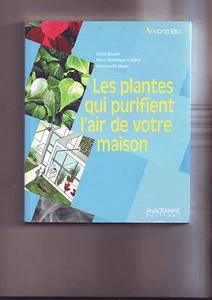 Les Plantes Qui Purifient L'air De Votre Maison - Picture 1 of 1