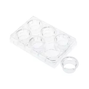 CELLTREAT Permeable Cell Cult. Insert, 6 Well, PC, 3.0um, 12/Cs, S, #230603 - Picture 1 of 2