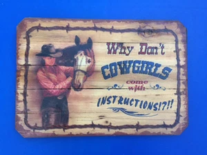 Western Cabin Lodge Barn Stable Decor ~Why Don't Cowgirls ~ Wood Slat Sign - Picture 1 of 1