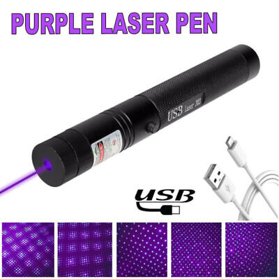 Rechargeable Purple Beam Laser Pointer Powerful 1MW Blue Lazer Light Cat Pet Toy • 7.74£