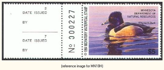 HALFPRICEDUCK Minnesota Duck Stamp 1994 $5.00 full left tab - Image 1 of 1