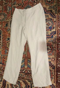 Chico's Travelers Cement straight leg lined pant, rayon/nylon, size 1 or LG NWT - Picture 1 of 7