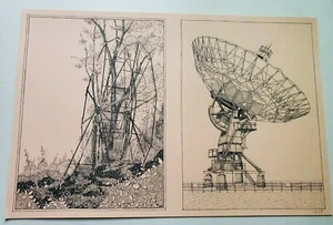 Thank You, Not the Holdem Horn Antenna C.L. Park - Uncut Orange Edition Landland - Picture 1 of 8