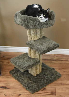PREMIER CAT PLAY TREE , 33" TALL 1 COLOR - FREE SHIPPING IN THE UNITED STATES - Image 1 of 4