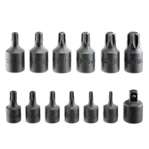 15 PC 1/4" Y 3/8" DRIVE IMPACT MALE STAR TORX BIT SOCKET SET Auto Tools 50202 - Imagen 1 de 1