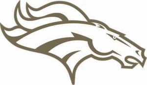 Calcomanías de mini casco de fútbol americano Denver Broncos Salute to Service - Imagen 1 de 3