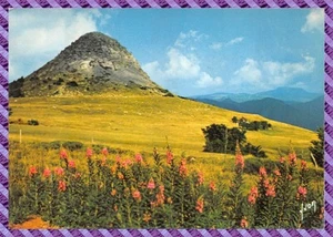 Bolsa de algas marinas Der Gerbier nueva - Imagen 1 de 1