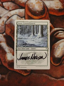 *ARTIST PROOF* Foresta innevata firmata Jim Nelson Magic the Gathering - Foto 1 di 2